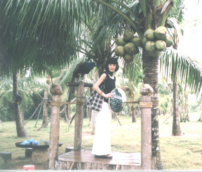 杨薇